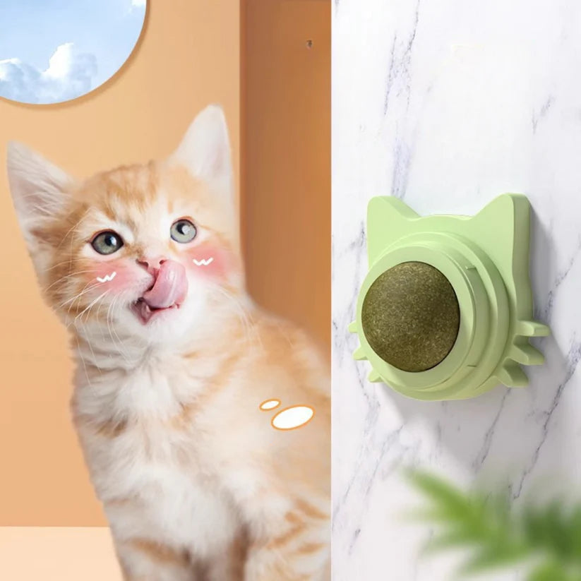 Ball Toys For Cats Licking 3 Pieces